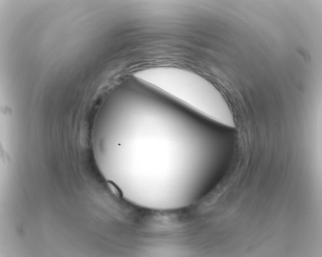X0000091350760200708101037