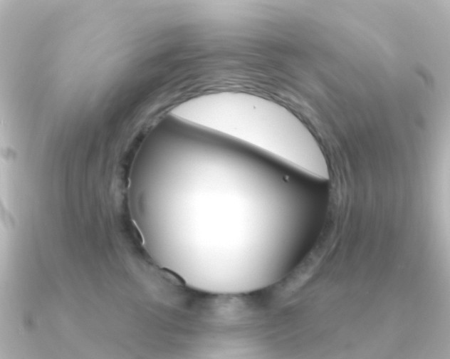 X0000091350762200708101037