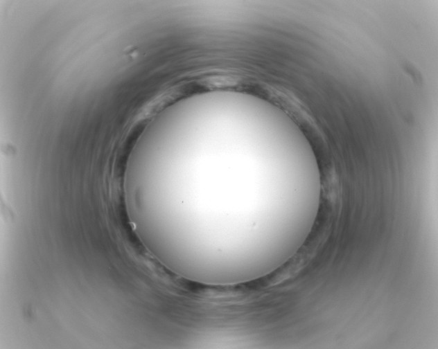 X0000091350763200708101037
