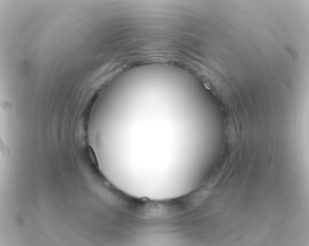 X0000091350764200708101037