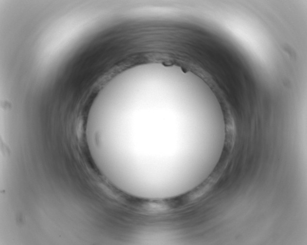 X0000091350765200708101037