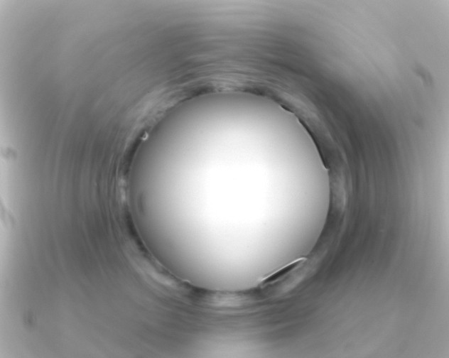 X0000091350766200708101037