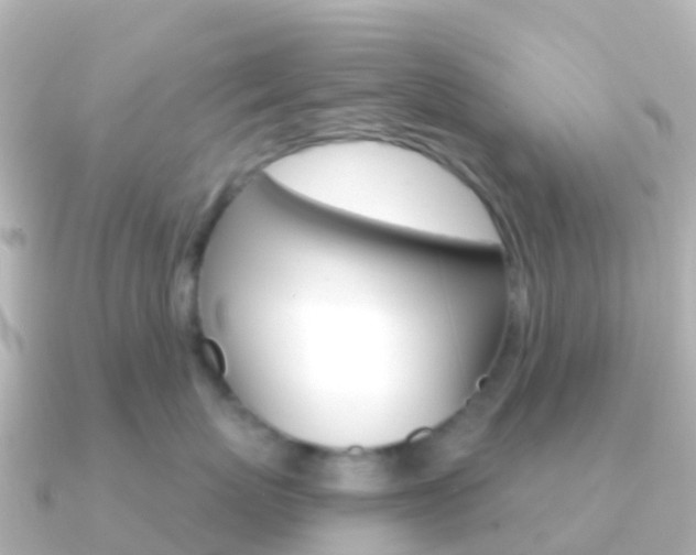 X0000091350767200708101037