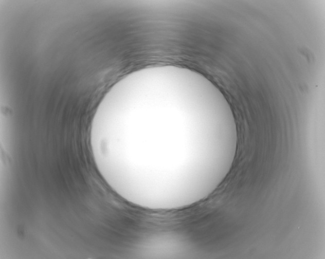 X0000091350768200708101037
