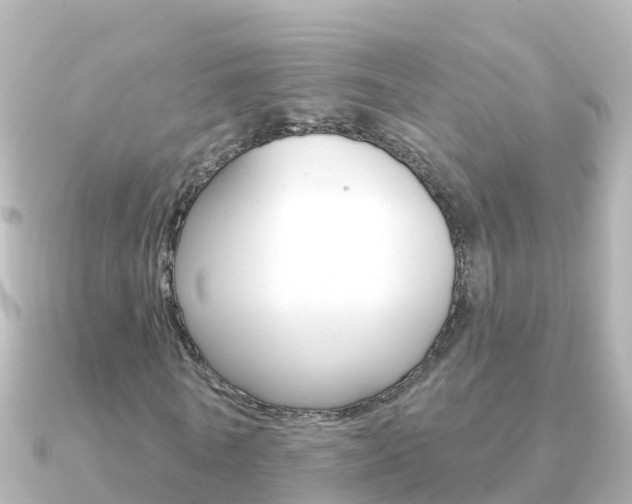 X0000091350770200708101036