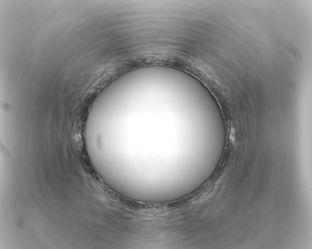 X0000091350771200708101036
