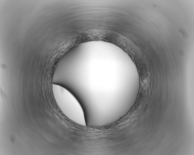 X0000091350772200708101036