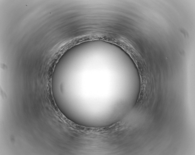 X0000091350773200708101036