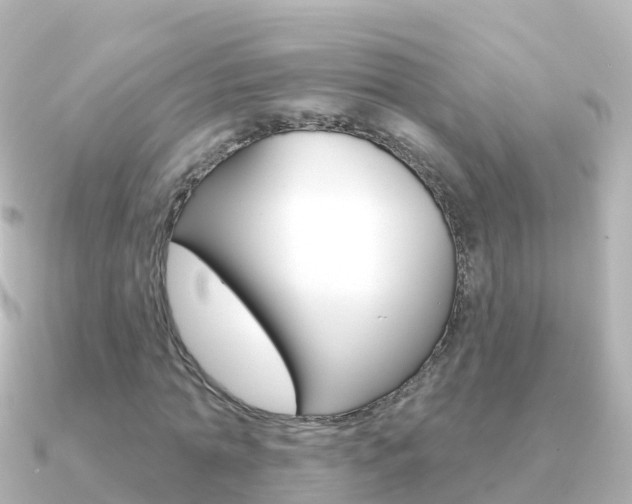 X0000091350774200708101036