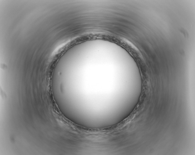 X0000091350775200708101036