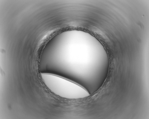X0000091350776200708101036