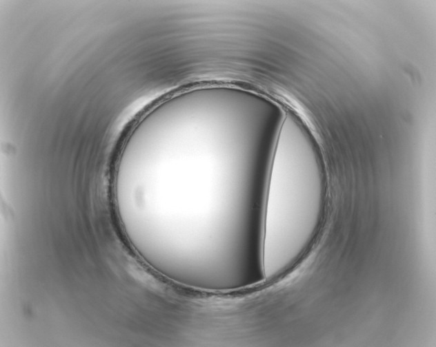 X0000091350779200708101036