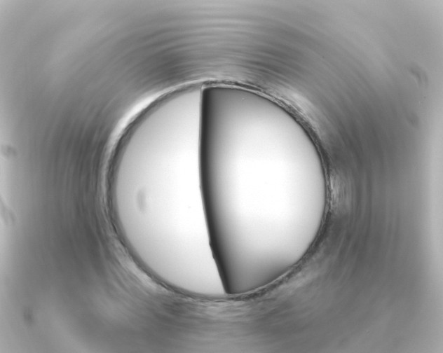 X0000091350780200708101036