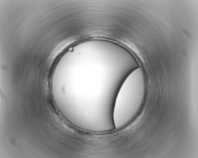 X0000091350782200708101036