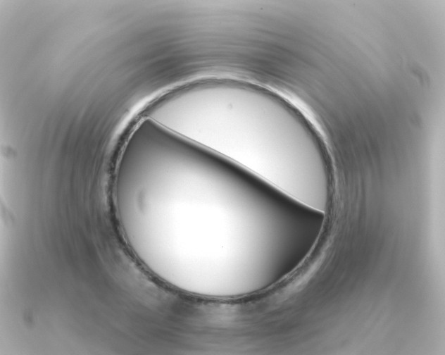 X0000091350783200708101036