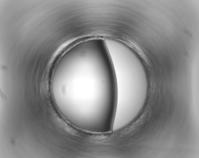 X0000091350784200708101036