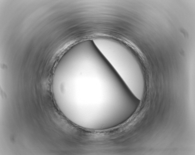 X0000091350785200708101036