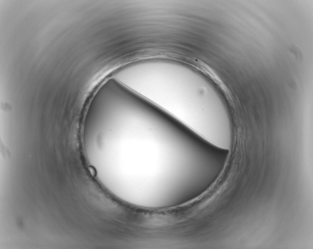 X0000091350786200708101036