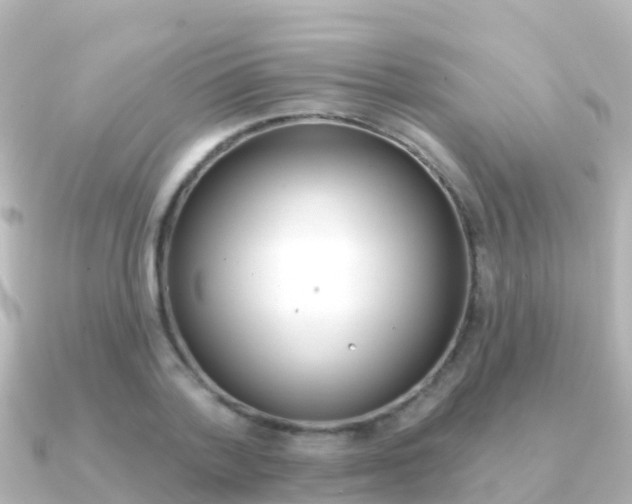X0000091350788200708101036