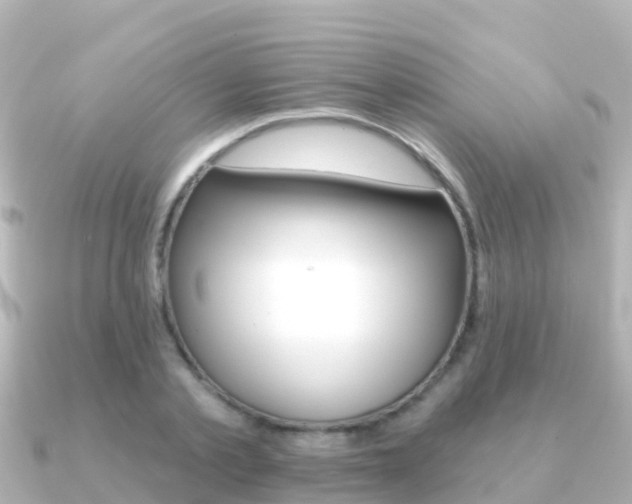 X0000091350789200708101036