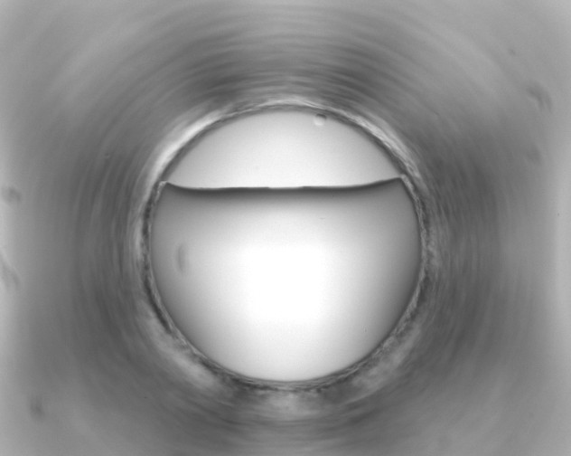 X0000091350790200708101036