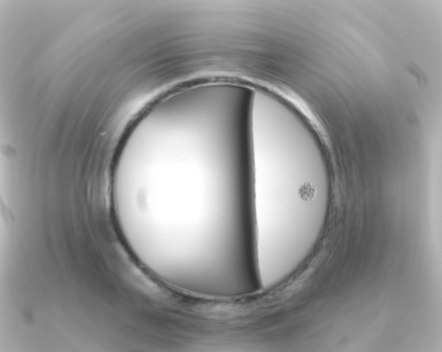 X0000091350791200708101036
