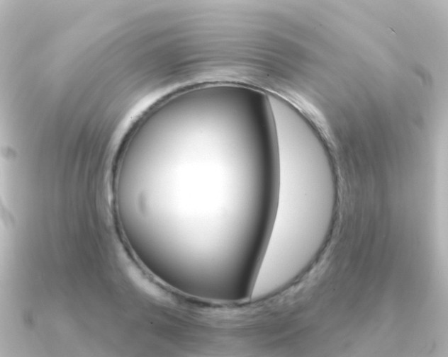 X0000091350792200708101036