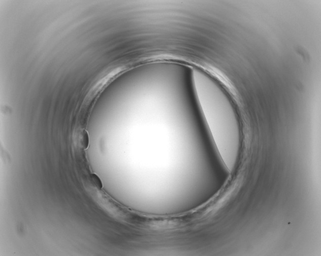 X0000091350793200708101036