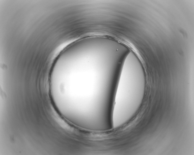X0000091350795200708101036