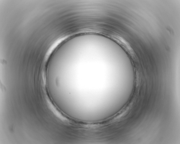 X0000091350796200708101036