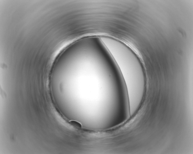 X0000091350797200708101036