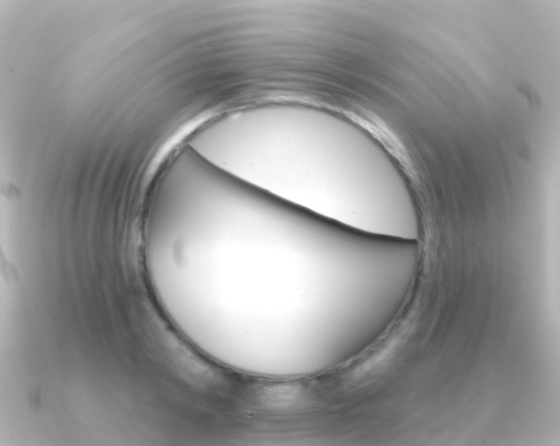 X0000091350798200708101036