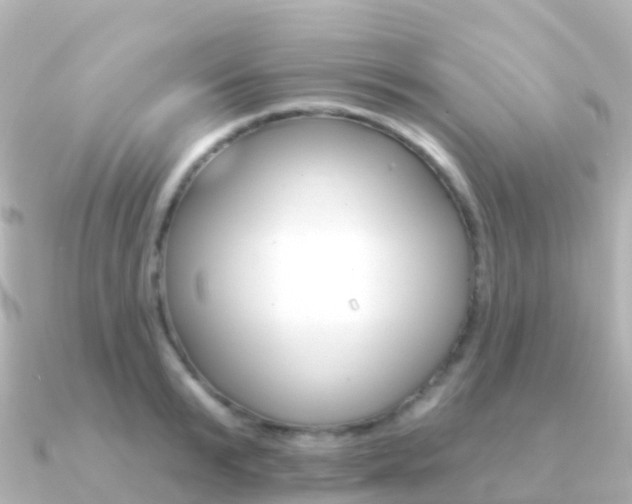 X0000091350799200708101036