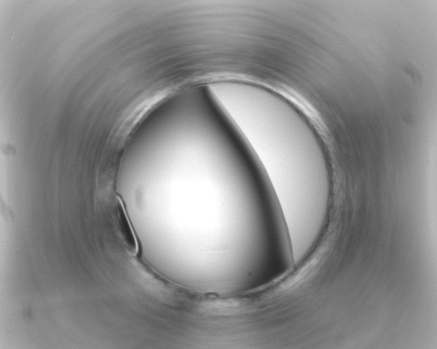 X0000091350801200708101036