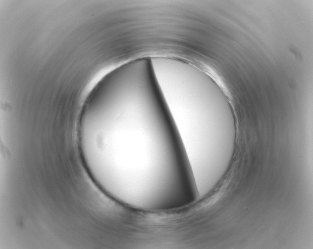 X0000091350803200708101036