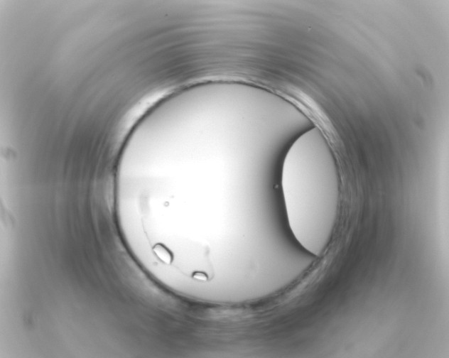 X0000091350804200708101036