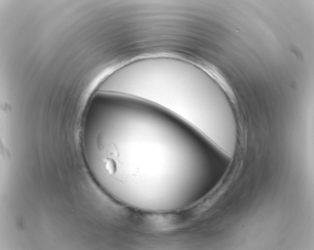 X0000091350805200708101036