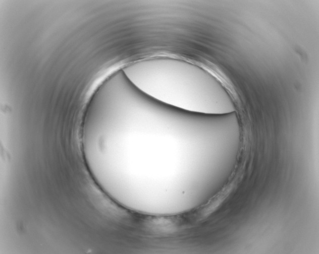 X0000091350806200708101036