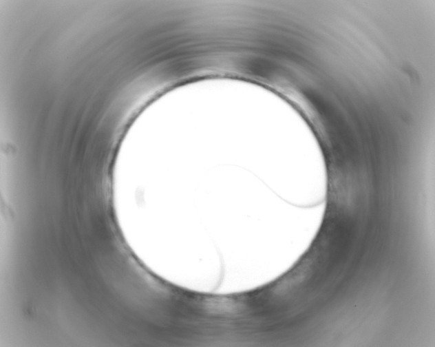 X0000091350807200708101036
