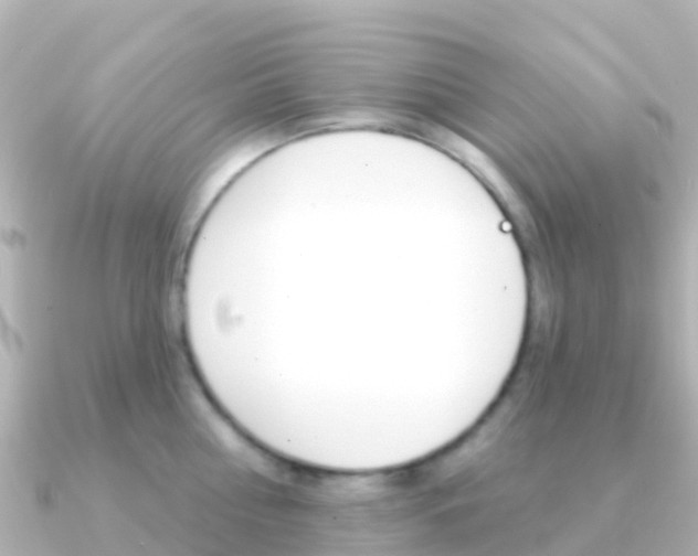 X0000091350810200708101036