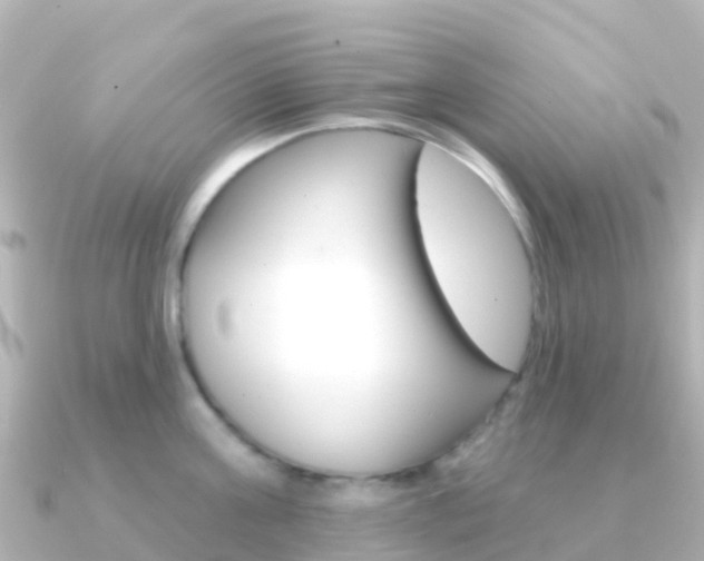 X0000091350811200708101036
