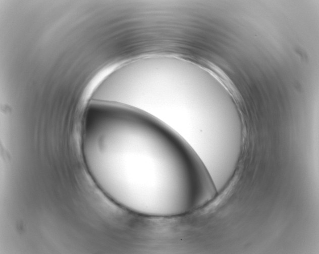 X0000091350812200708101036