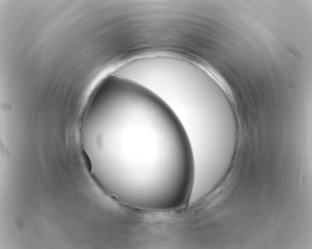 X0000091350813200708101036