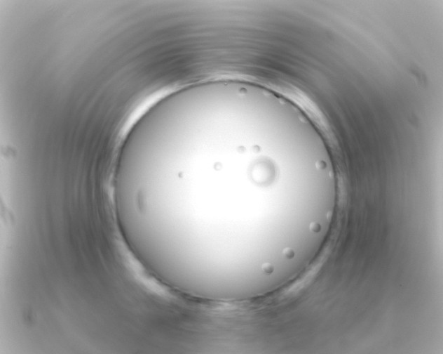 X0000091350814200708101036
