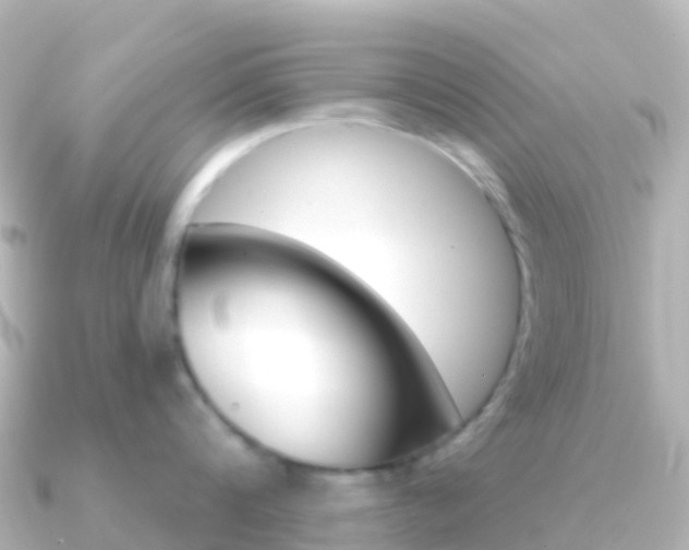 X0000091350816200708101036