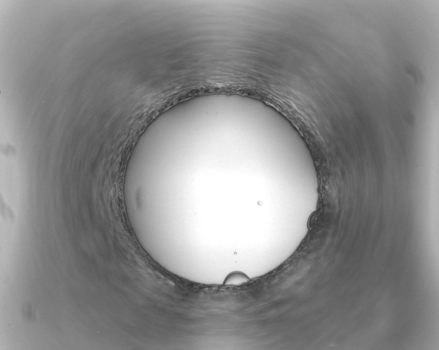 X0000091350817200708101035
