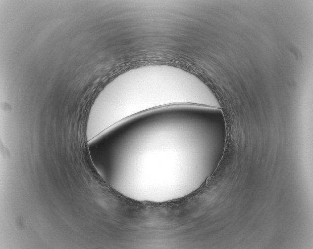 X0000091350818200708101035