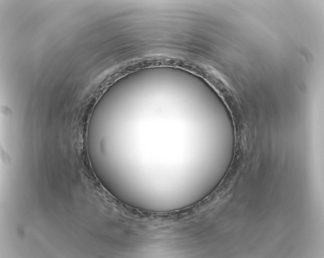 X0000091350821200708101035