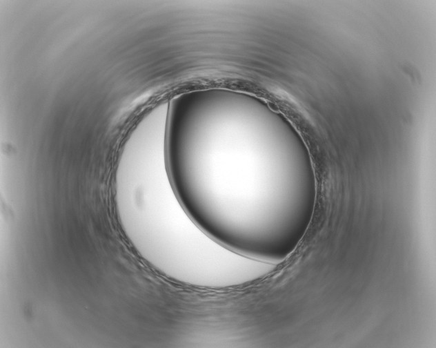 X0000091350822200708101035