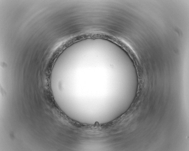 X0000091350823200708101035